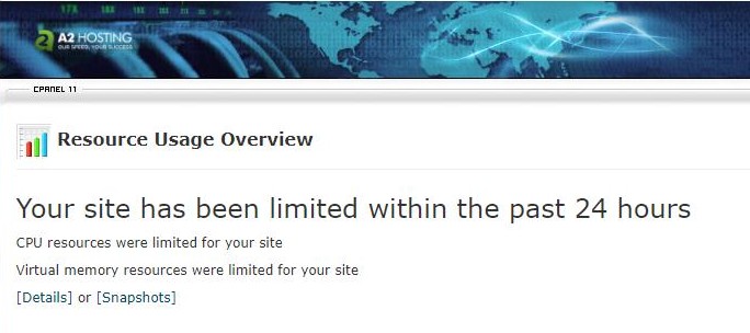 0_1502936946957_30 bees a2 host.jpg