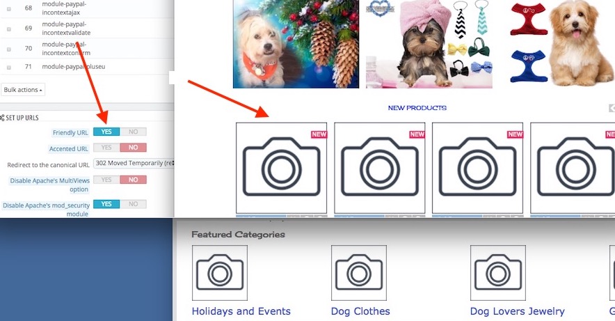 0_1512054302963_friendly-urls-on-new-products-images-and-featured-category-images-are-camera-icons.jpg